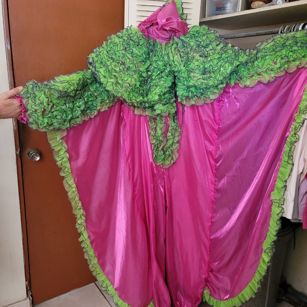 Vegigate costume